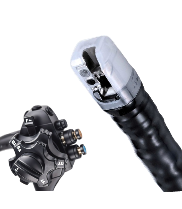 Duodenoscopio Olympus TJF-Q190V